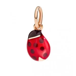 dodo Coccinella Clearance